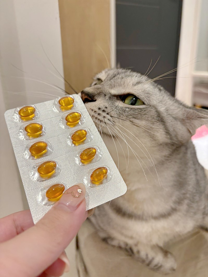試用